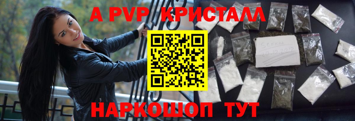 Кимовск  где найти   APVP СК  Alfa_PVP  Вход с VPN  APVP СК 