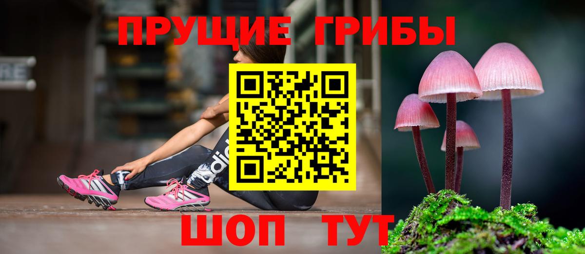 Галлюциногенные грибы Psilocybine cubensis Кимовск
